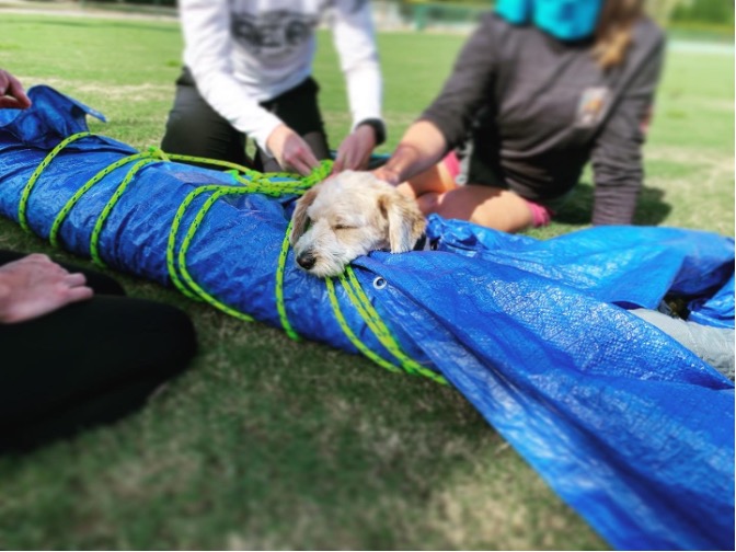 AWLS Training, Southeastern Region.jpg