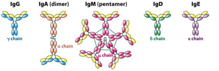 HyperViscosity Jan2025 (1).png