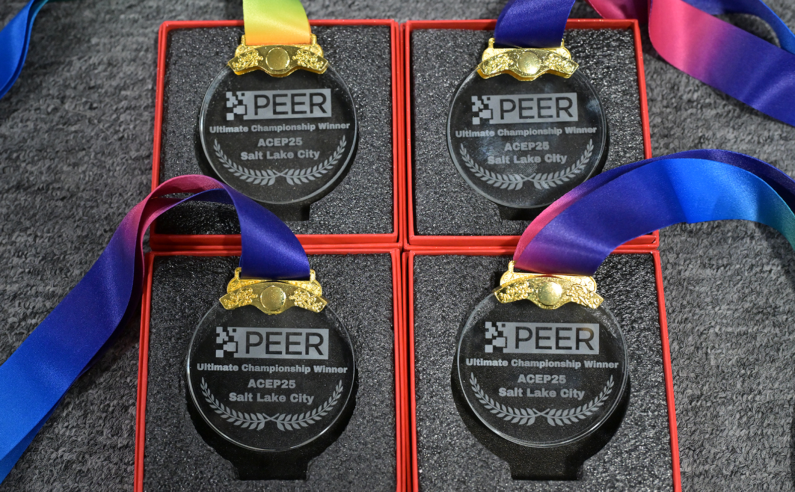 PEER Challenge ACEP25 Medals PEER_Challenge_Medals_ACEP25.jpg