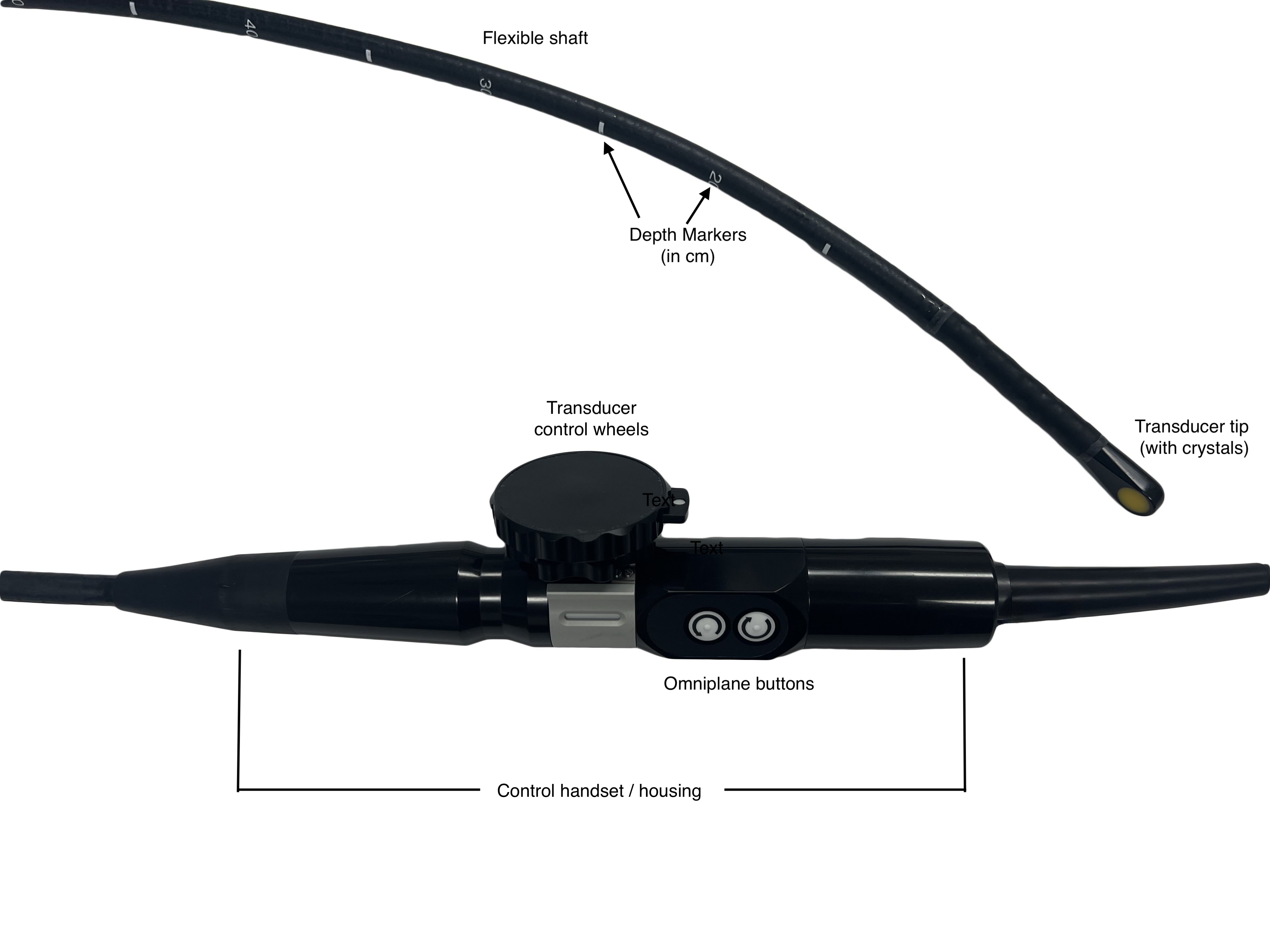 ACLS-Figure 2 - Labeled TEE.jpg
