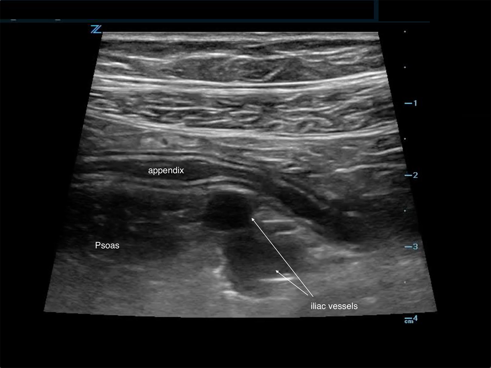 Figure 1 - typical location appendix.jpg