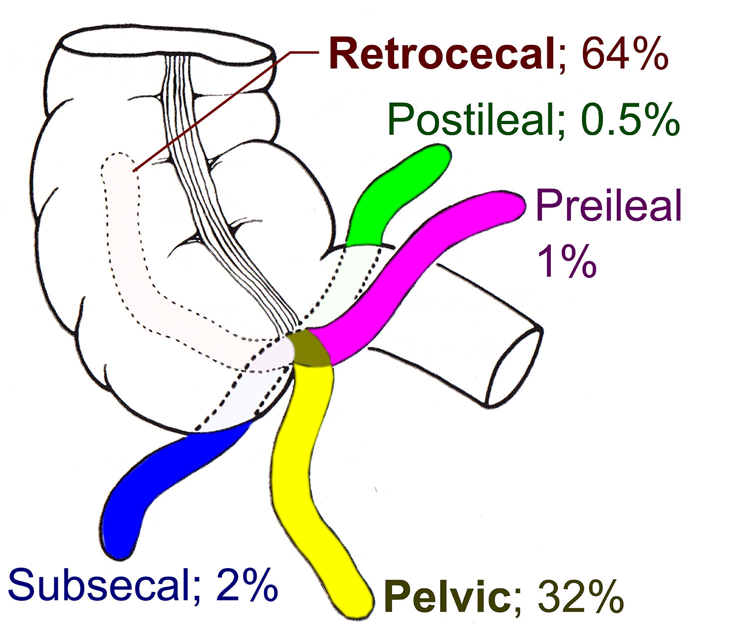 FIgure 2 - Appendix variant locations.jpg