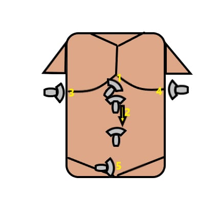 Figure 1. Surface anatomy and tranducer locations.jpg