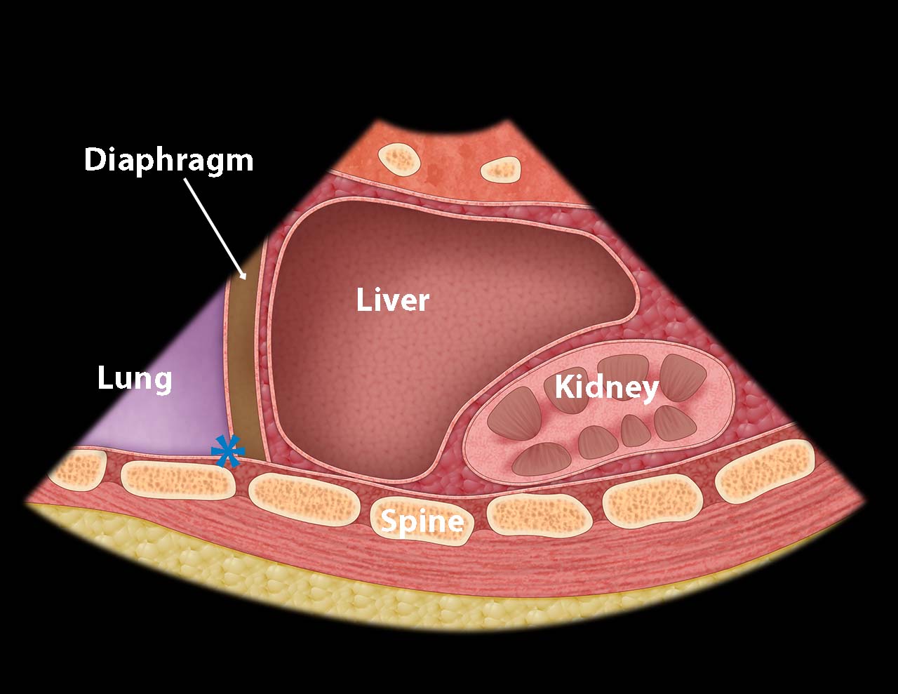 Ill 4_Morison's Pouch.jpg