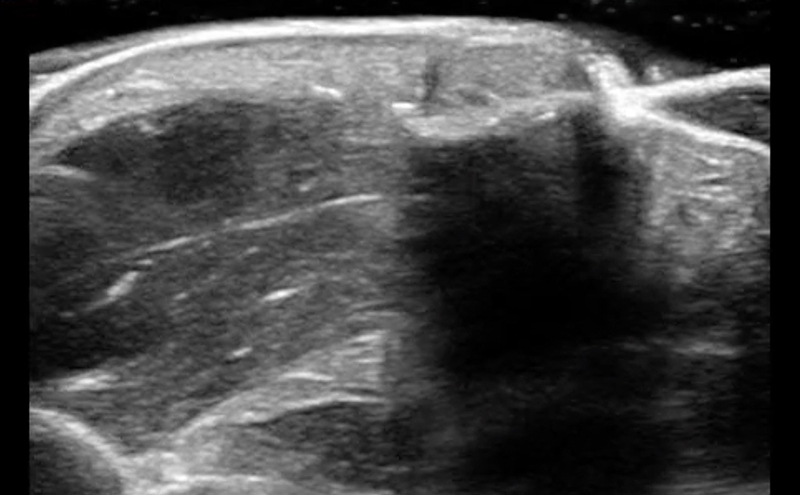 Procedural Page_resized.jpg