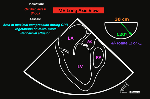 StaynAlive_Tayure 4.png