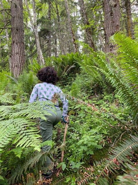 Pacific Northwest.jpg